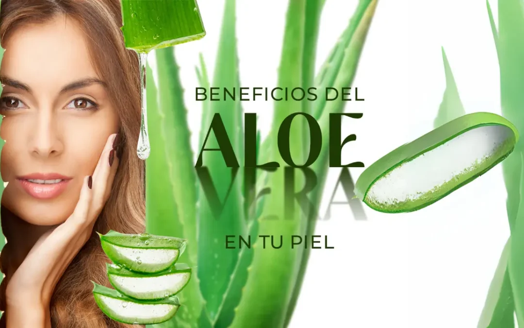 Cuidado de la Piel con Aloe Vera: Beneficios y Productos Naturales de Seytú