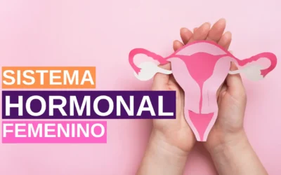 Sistema Hormonal Femenino y Cómo los Productos Omnilife Pueden Ayudar